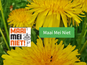 Maai Mei Niet voor particulieren:voor meer bloemen in je gazon