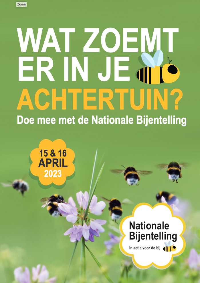Wat zoemt er in je (achter)tuin? Nationale bijentelling 2023