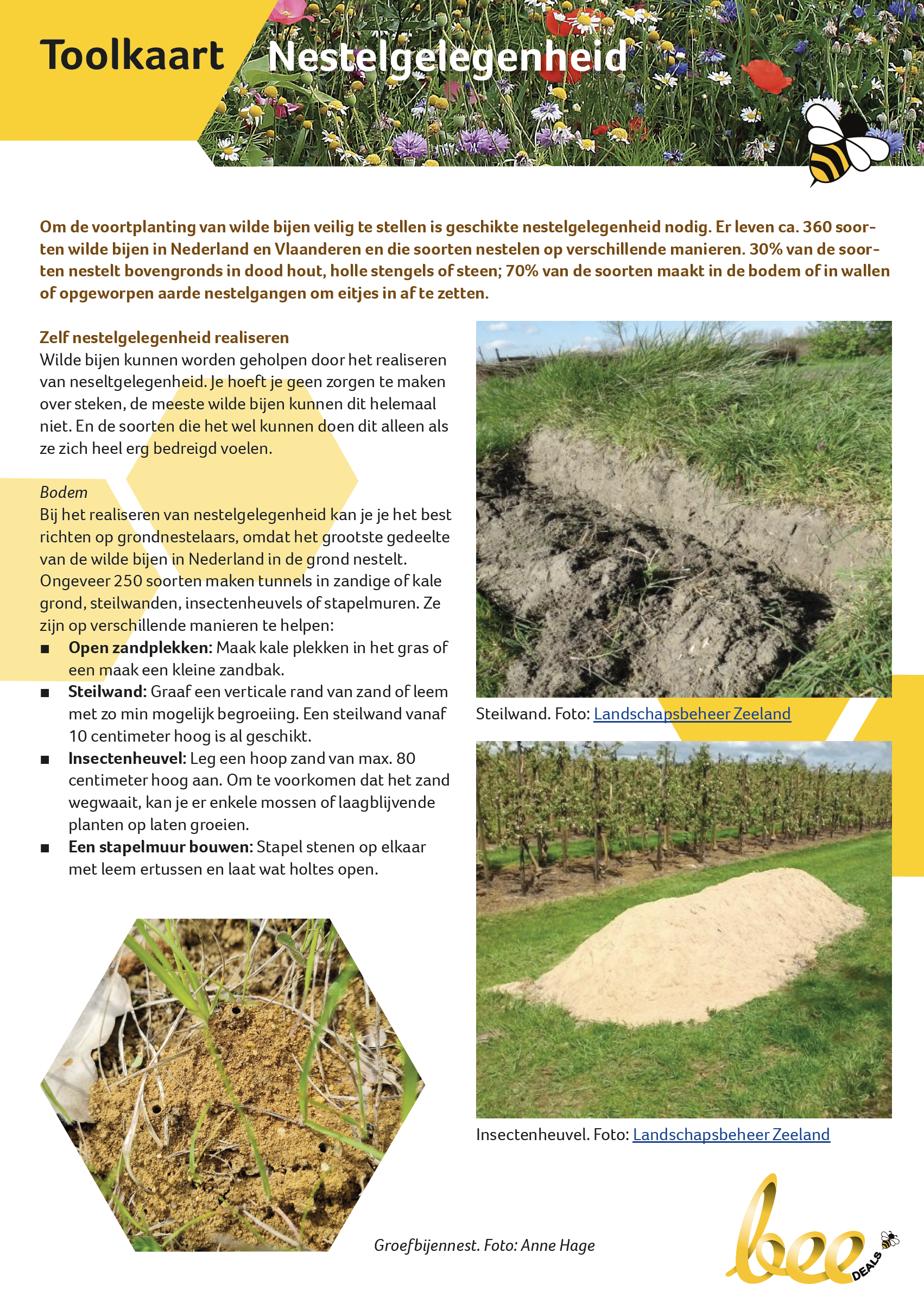 Scherm­afbeelding 2026-03-10 om 15.45.30