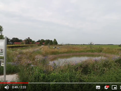 Youtube: gratis bloemenzaad Bee Deal Kromme Rijnstreek