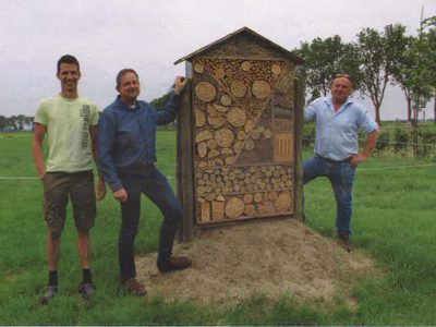 Bee Deal Bommelerwaard helpt leefomgeving bijen te verbeteren