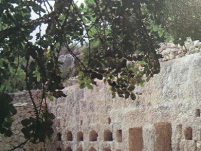 Romeinse bijenstal op Malta, aardappelteler voor Jansen-Dongen