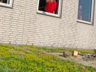 Uitbreiding Beedeal CLM met bijenoase
