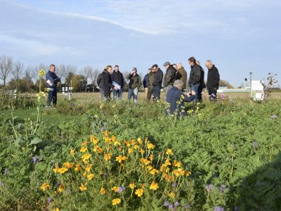Bee Deal Jumbo-Greenery op bezoek bij Forward Farm