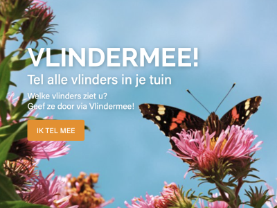 Vlinder mee in de maand juli!