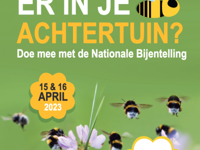Wat zoemt er in je (achter)tuin? Nationale bijentelling 2023