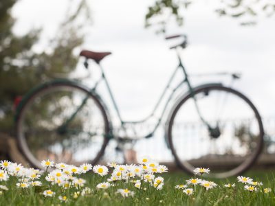 Bee Deals on tour: ga je mee?!