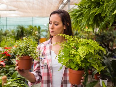 Podcast Red de Lente: Tuincentrum wil einde aan chemische afdoding van nuttige insecten